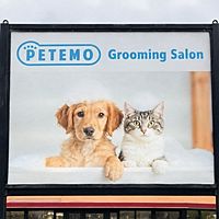 Show profile photo