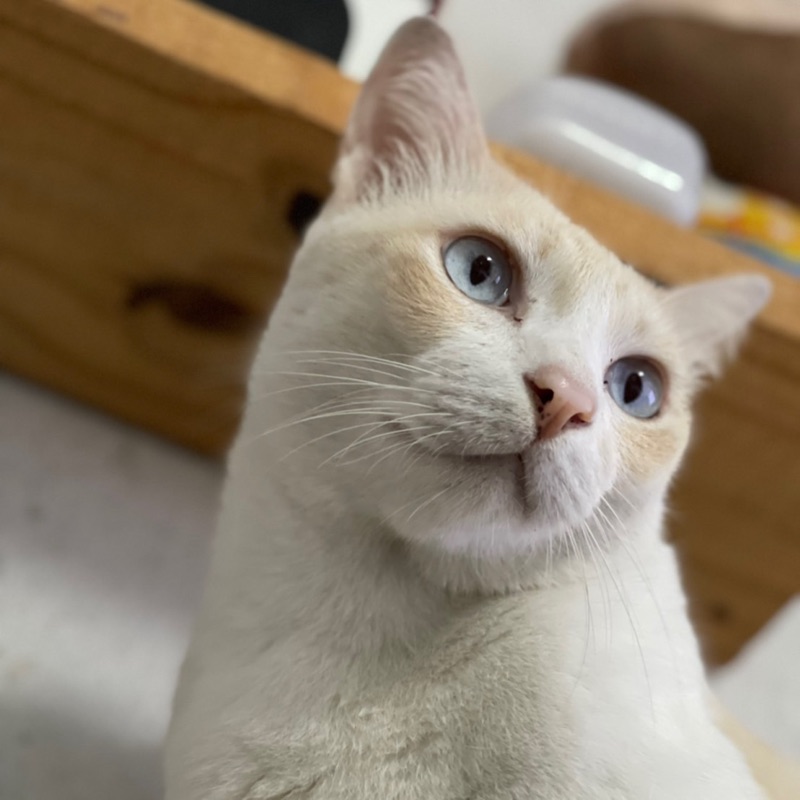 แพรว