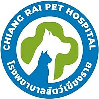 Show profile photo