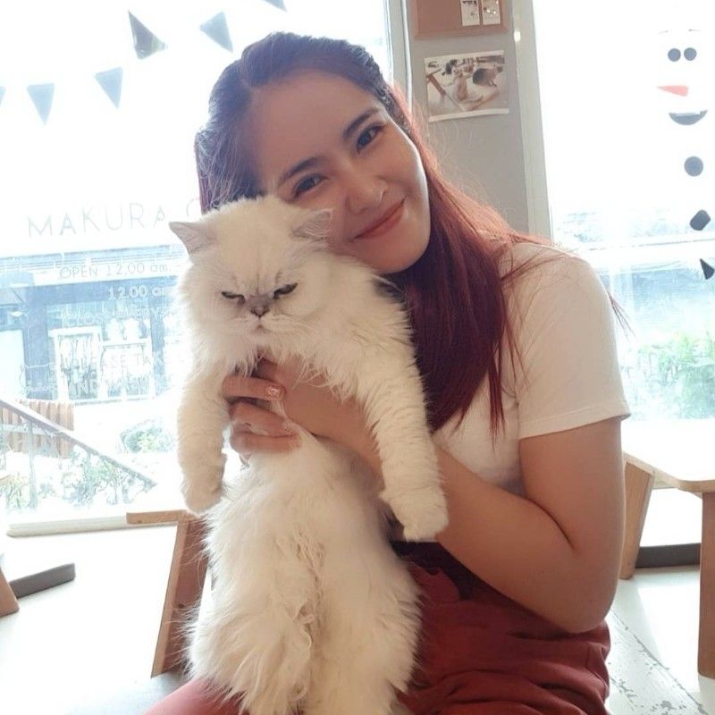 แพร