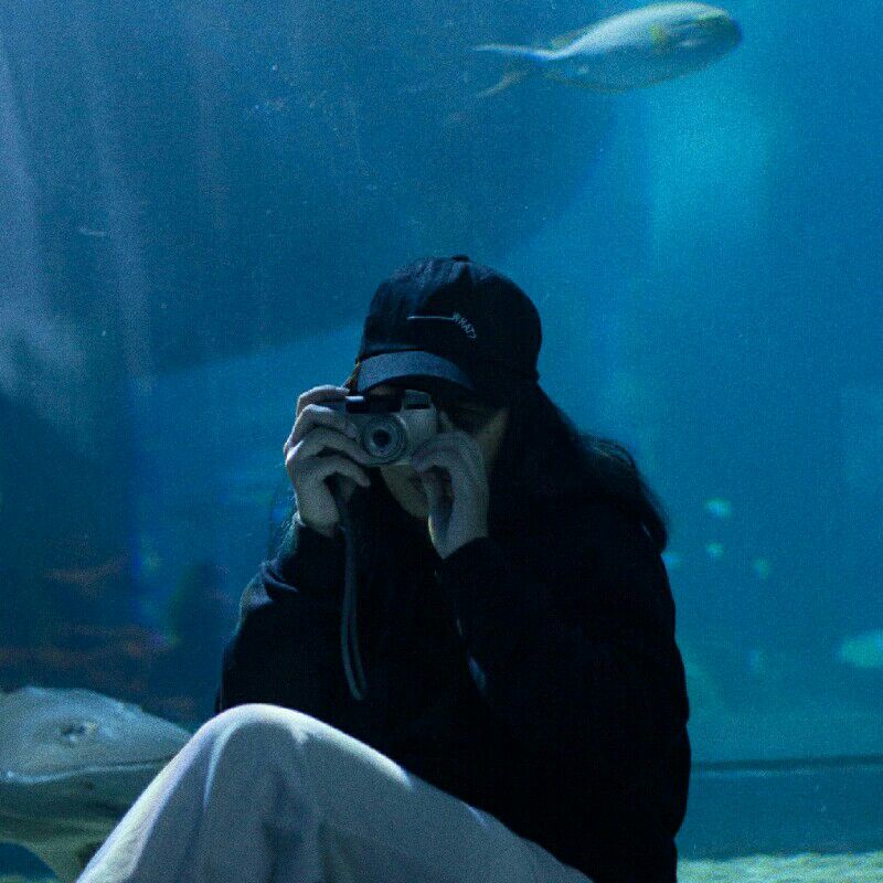 ภัทร