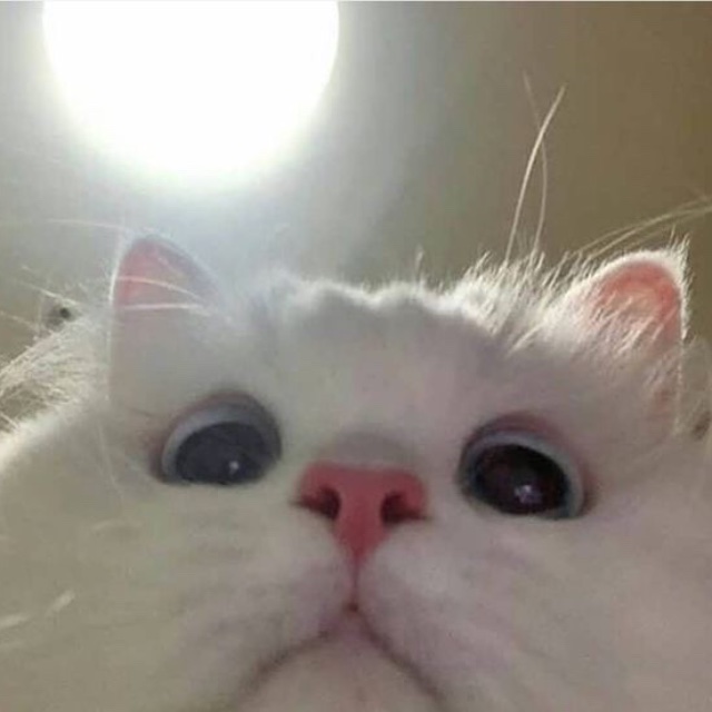 An Image