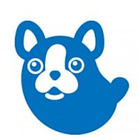 Show profile photo