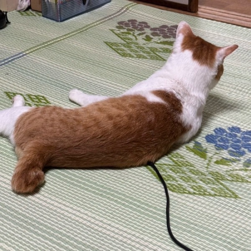 ひなのアバター