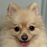 Show profile photo