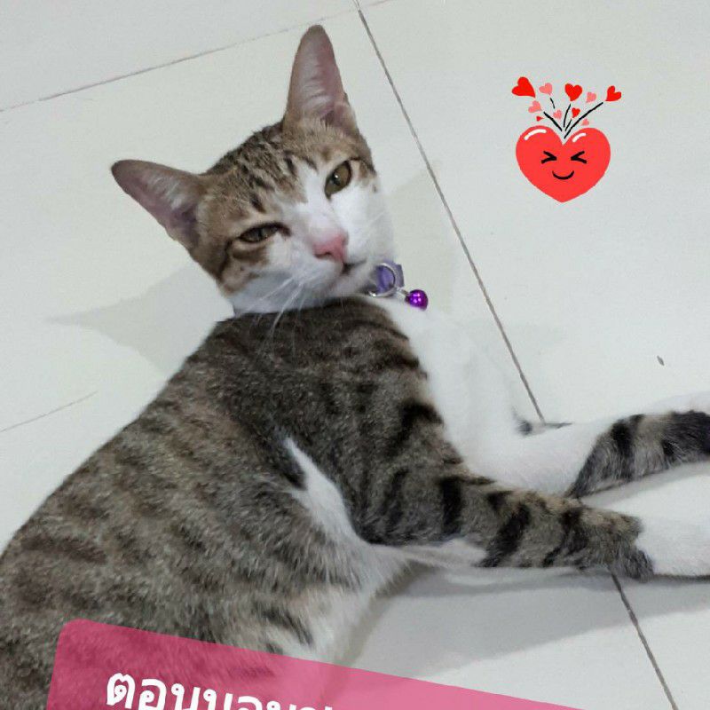 บุ๋ม