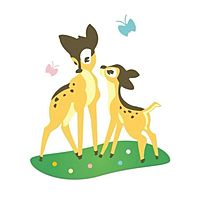 Show profile photo