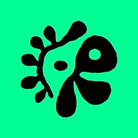 Show profile photo