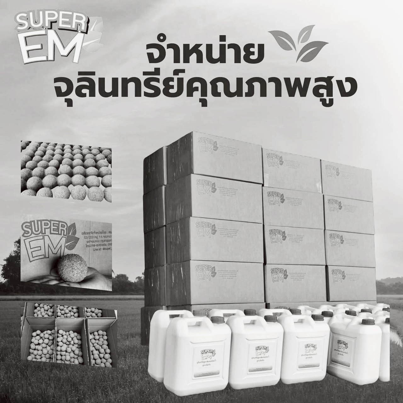 SuperEM | LINE SHOPPING