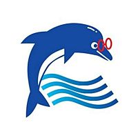 Show profile photo