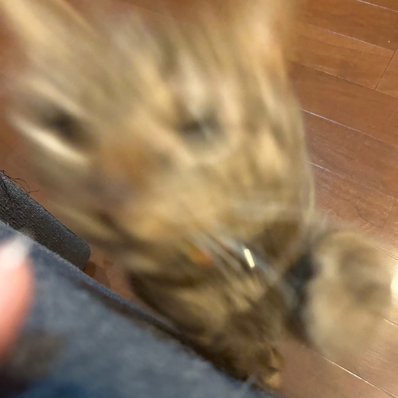 りの