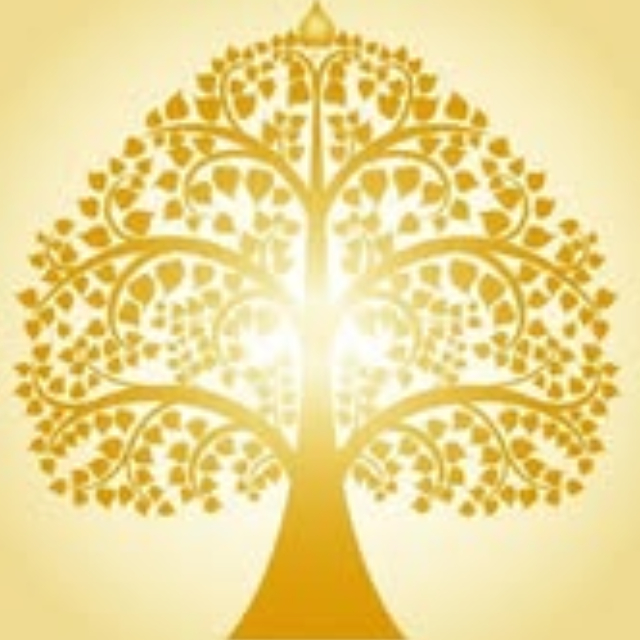An Image