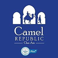 Show profile photo