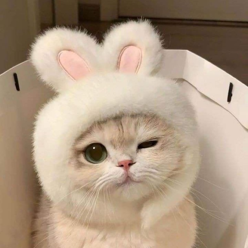 碧