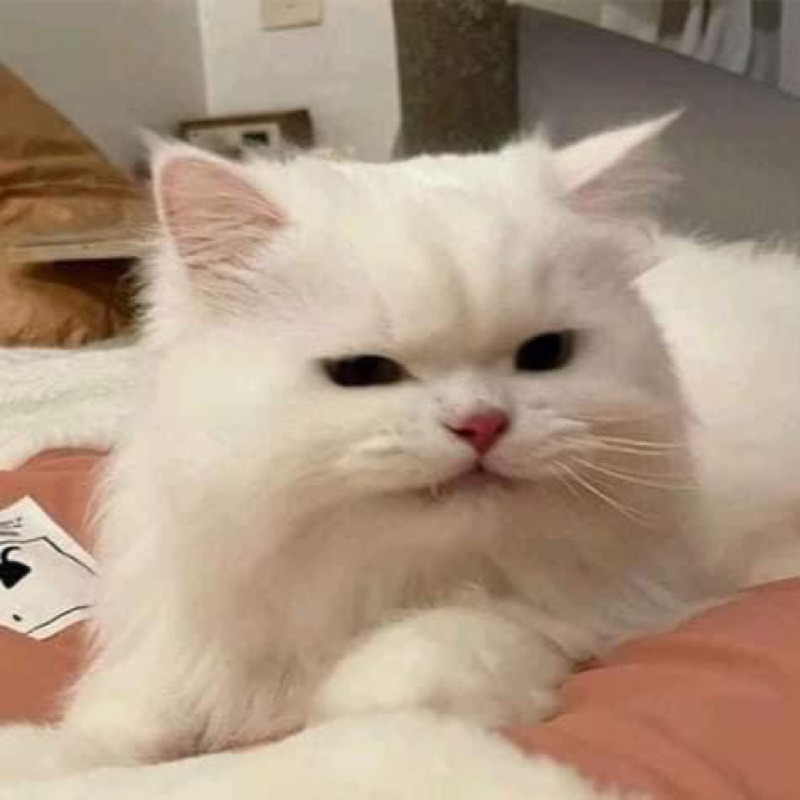 ซี