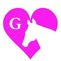 Show profile photo