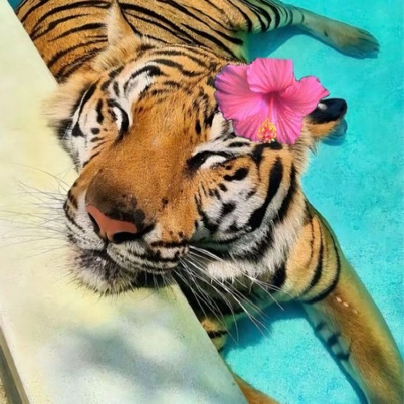 RANA