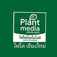 Show profile photo