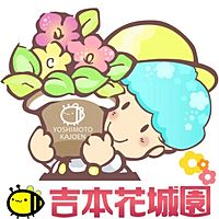 Show profile photo