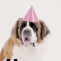 Show profile photo