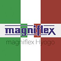 Show profile photo