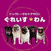 Show profile photo