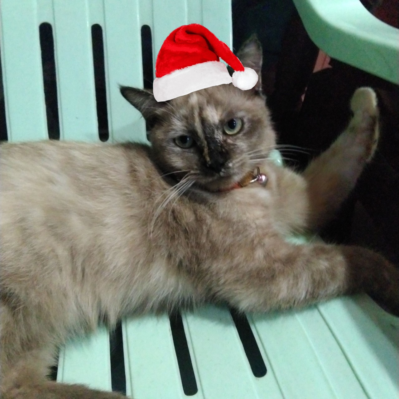 ลูกแก้ว