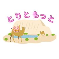 Show profile photo