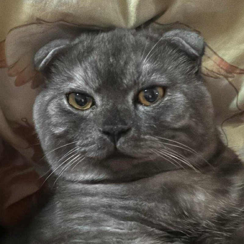 กัน