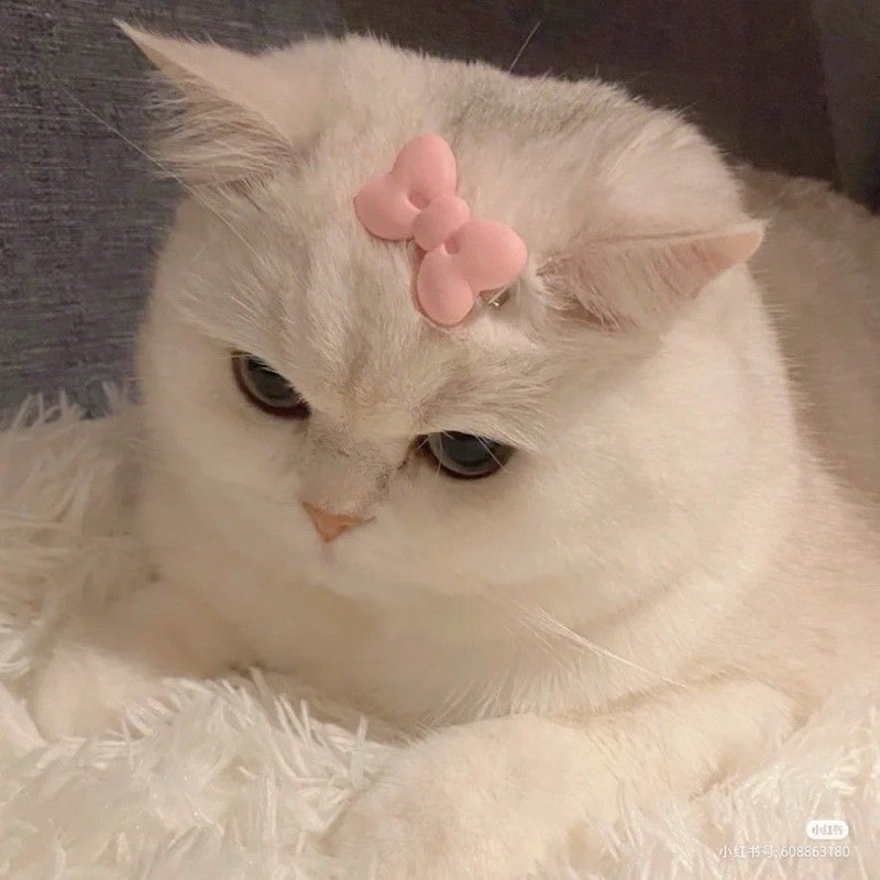 กัน