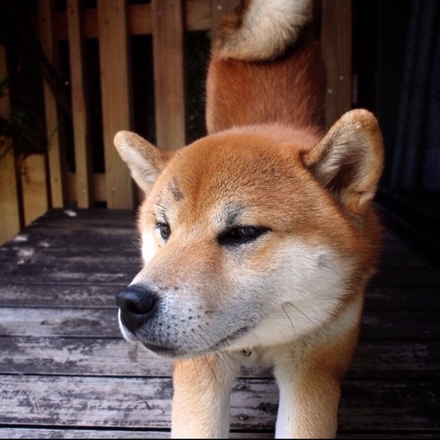ひろ