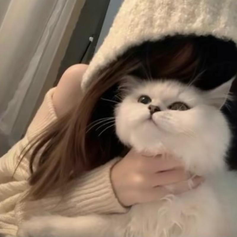 はる