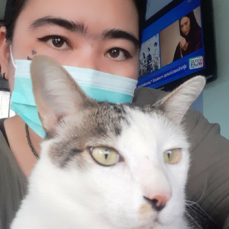 เกตุ