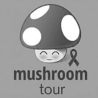 Show profile photo
