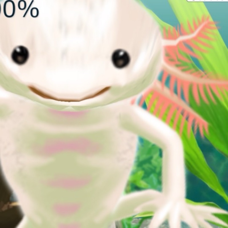 あい
