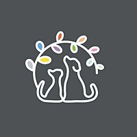 Show profile photo