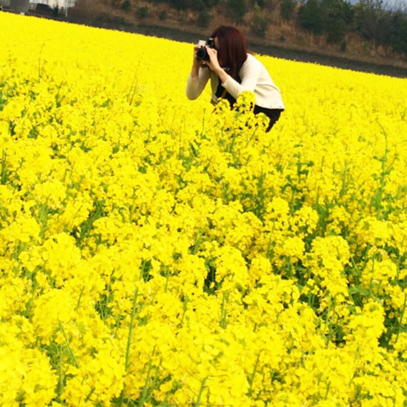 たまのい