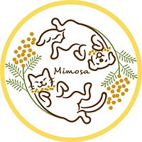 Show profile photo