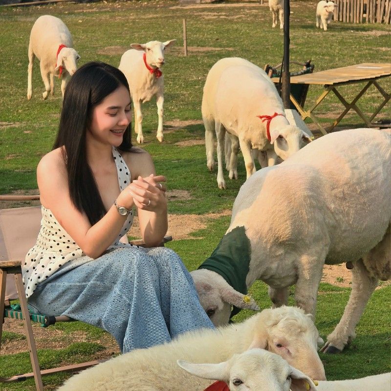 พัณณิตา