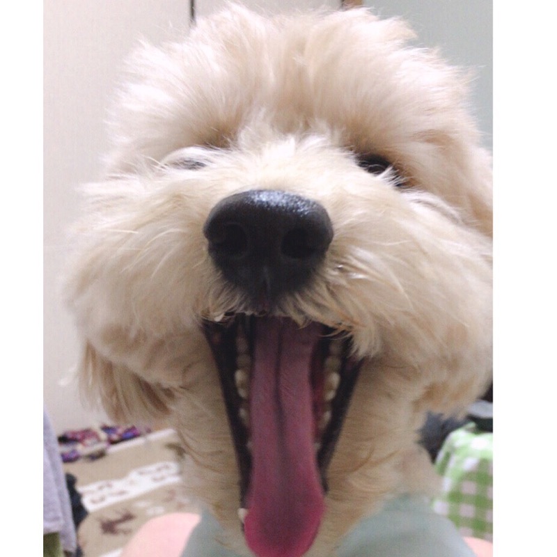 sa-mi◡̈*.。