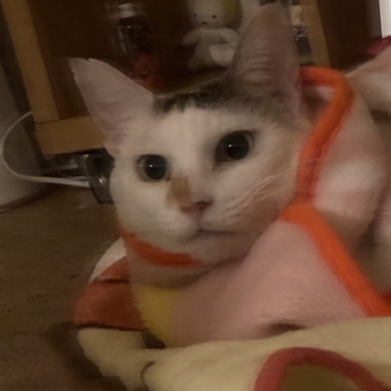 ひー