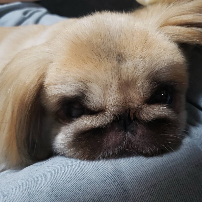 あやな