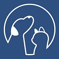 Show profile photo