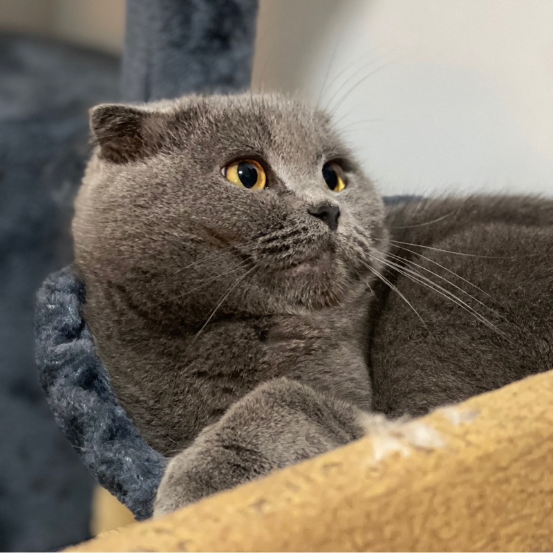 โม