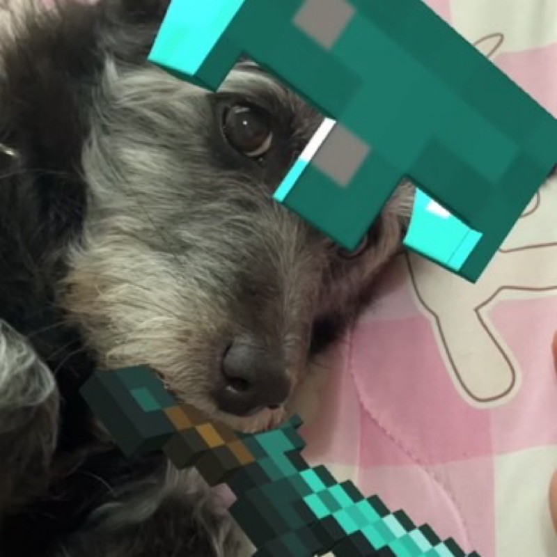 ことり