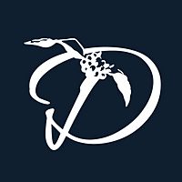Show profile photo