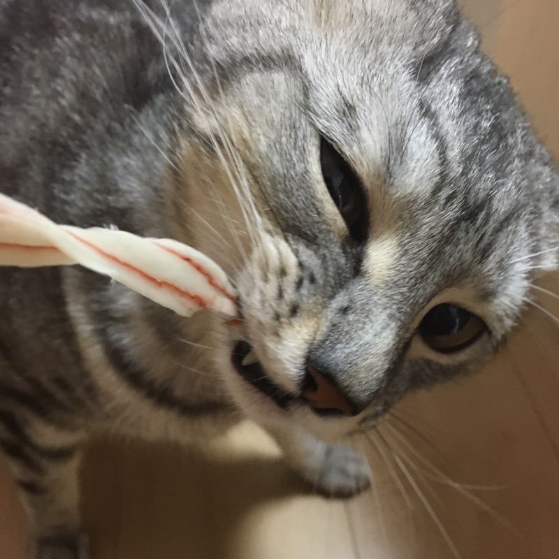 ひなた