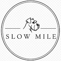 Show profile photo