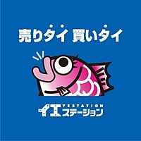 Show profile photo