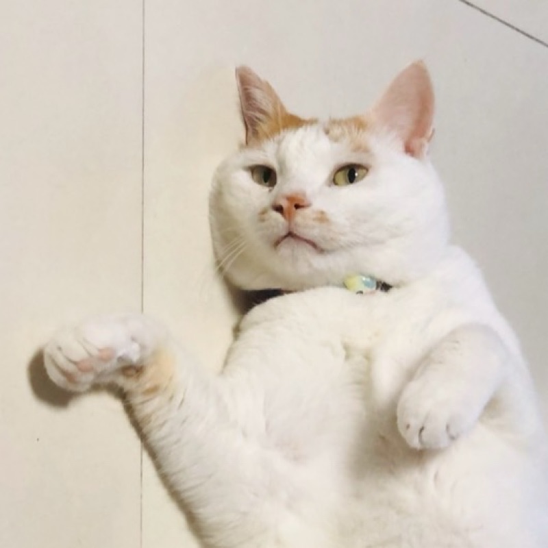 玉**